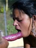 Slut suck a dog knot