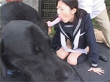 Asian blowjob a dog