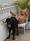 Sluts ass fucked by dog