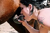 Girl blowjob horse cock