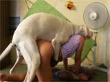 Wifes fucking hard by dog