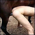 Boy fucked by horse cock