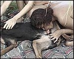 2 babe sucking dog dick