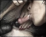 Latina get a dog cock