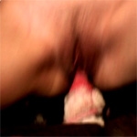 Dogcock forced into pussy