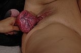 Girl fucking her big dog