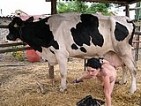 Sexy slut fucked by udder