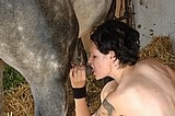 Lesbians licks horse cock