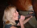 Blonde suck a horse cock