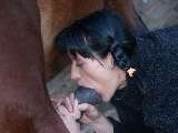 Girl sucking a horse cock