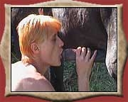 Girl sucking horse cock