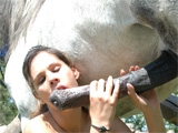 Slut fucked by horse cock