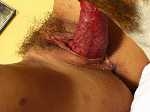 Whore girls fuck dog cock