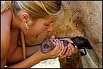 Whore blow a horse cock