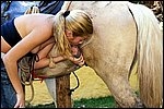 Girl sucking a horse cock