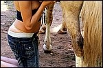 Blonde blowing horse cock