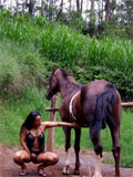 farmsex