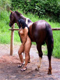 farmsex